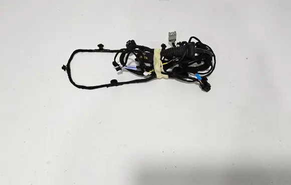 Polestar 4 Front door wiring loom 6608120818 80015552
