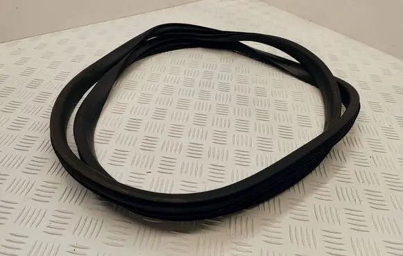 Renault Scenic IV - Grand scenic IV Front door rubber seal 