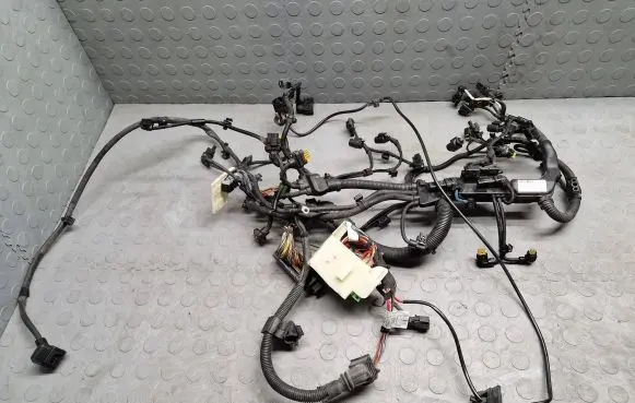 Engine installation wiring loom