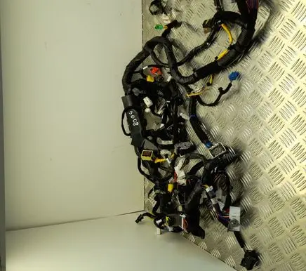 Hyundai Kona I Other wiring loom 91010K4280