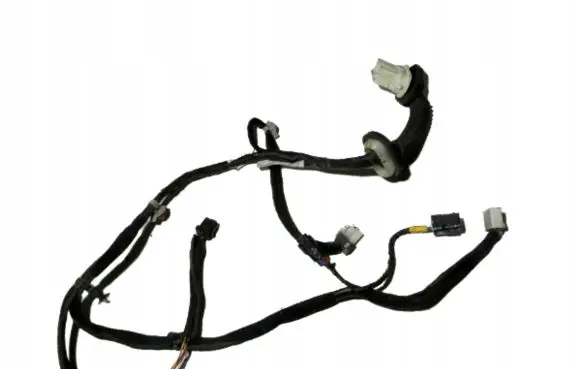 KIA Carens I Front door wiring loom