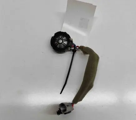 Panel speaker