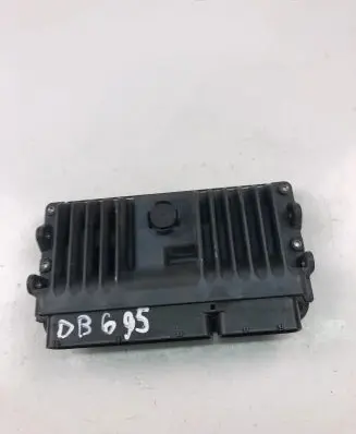 Engine control unit/module ECU
