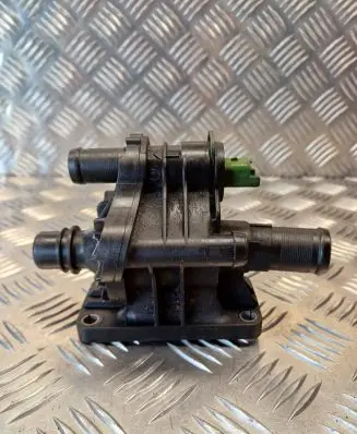 Thermostat/thermostat housing