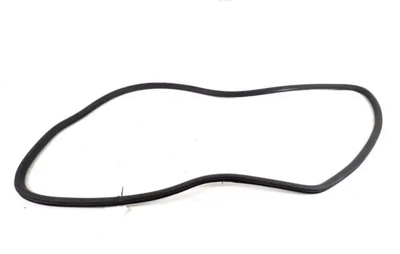 Opel Ampera- E Front door rubber seal 