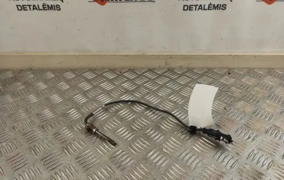 Fiat Ducato Exhaust gas temperature sensor ESNBTS200