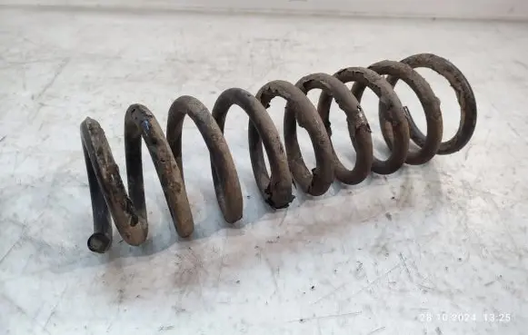 KIA Magentis Rear coil spring