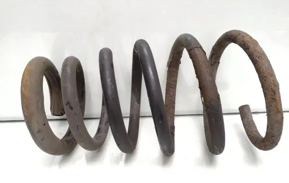 Rear coil spring