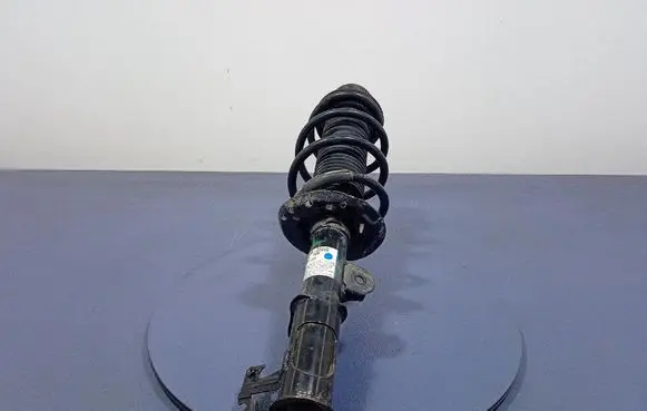 KIA Picanto Front shock absorber with coil spring 54650G6200