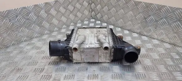 Land Rover Evoque I Intercooler radiator GJ329L440AB