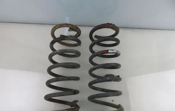 Rear coil spring