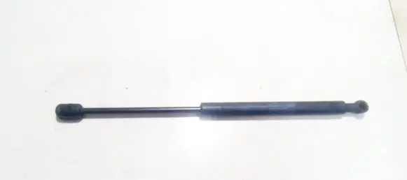 Tailgate/trunk strut/damper