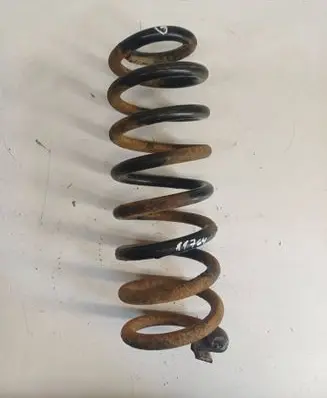 Rear coil spring