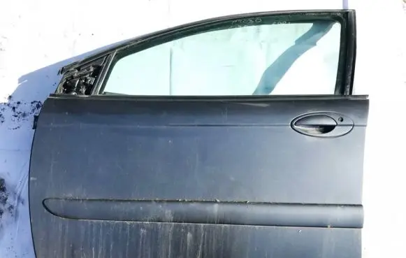 Citroen C5 Front door pilka