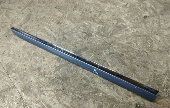 Rear door trim (molding)