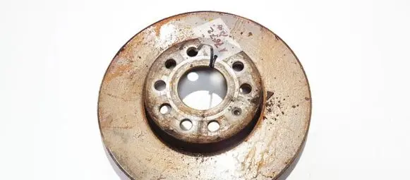 Volkswagen Golf V Front brake disc ventiliuojamas
