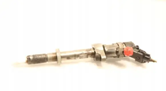 Citroen C4 I Fuel injector 0445110259