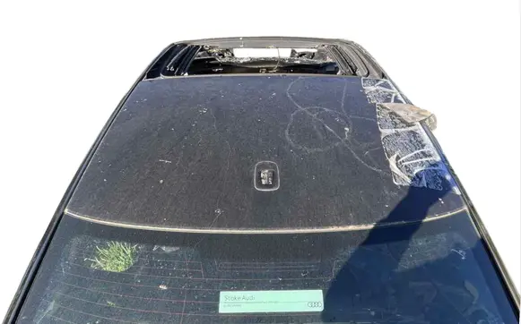 Audi A8 S8 D5 Roof 