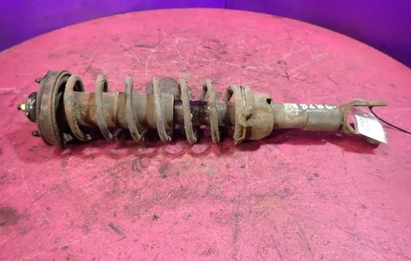 Honda Civic Rear shock absorber with coil spring 