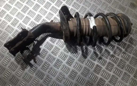 Front coil spring