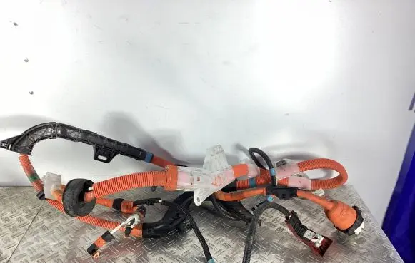 Lexus CT 200H Other wiring loom 8216476020C