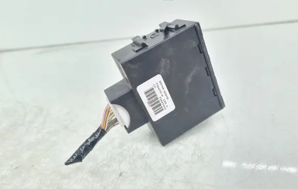 Immobilizer control unit/module