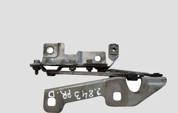 Opel Insignia A Engine bonnet/hood hinges 13248766 12841601