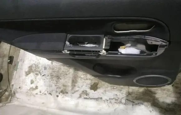 Suzuki Grand Vitara II Rear door card panel trim 