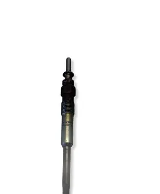 Land Rover Range Rover L322 Glow plug 