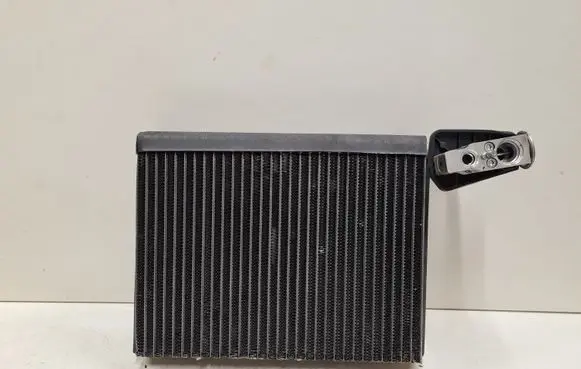 Mercedes-Benz R W251 Air conditioning (A/C) radiator (interior) 