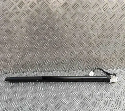 Tailgate/trunk strut/damper