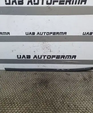 KIA Rio Rubber seal front door window/glass 