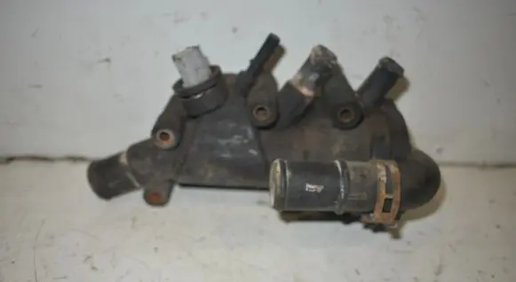 Thermostat/thermostat housing