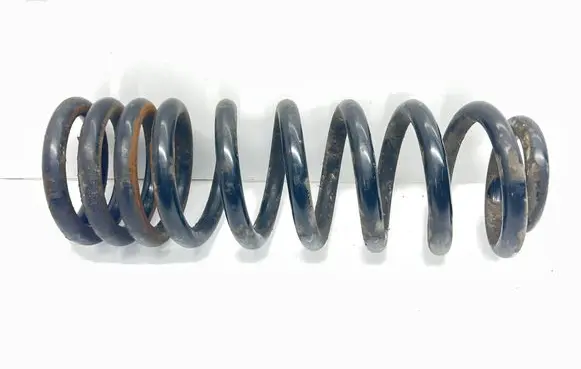 Rear coil spring