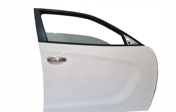 Dodge Charger Front door 22353434254