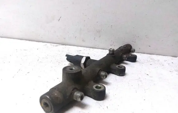 Peugeot 307 Fuel main line pipe 0445214019