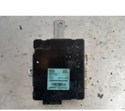 KIA Sorento Other control units/modules 10r02