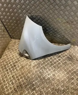 Mercedes-Benz A W169 Fender 1698810201 A1698810201
