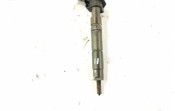 Mercedes-Benz R W251 Fuel injector 6420700587 6420701987
