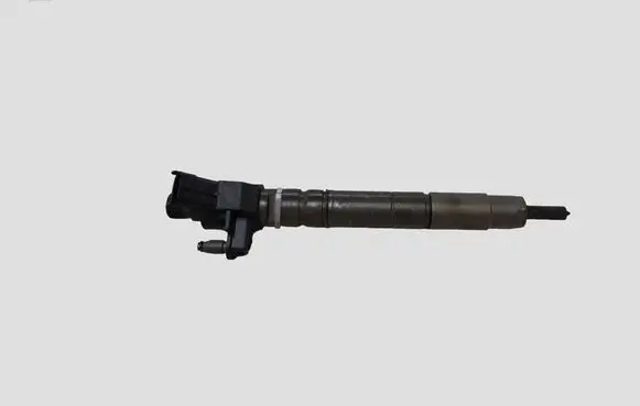Jaguar XF X250 Fuel injector 0455116013