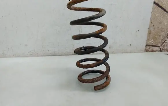 Rear coil spring