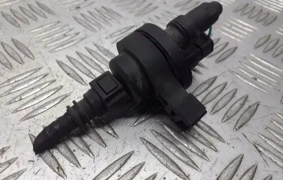 Renault Laguna II Valve vacuum 2580119A