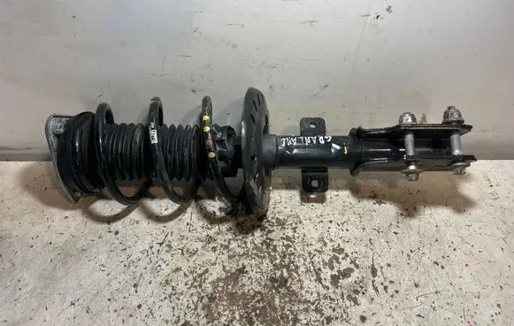 Opel Grandland X Front shock absorber/damper 9819718680 E4673201