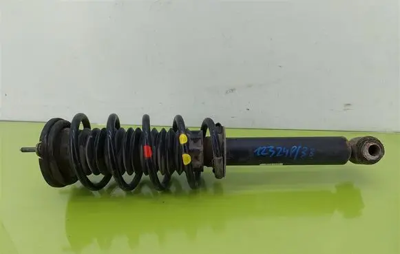 Peugeot 407 Front shock absorber with coil spring 