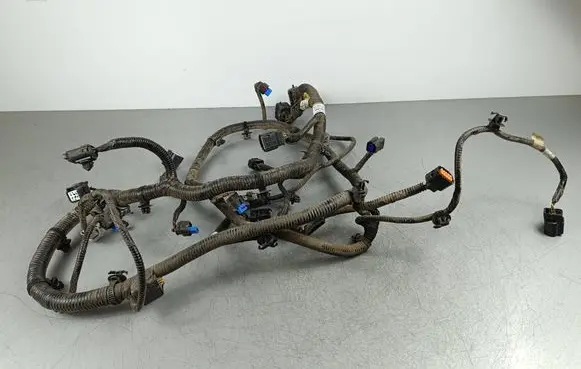 Hyundai Santa Fe V MX5 Parking sensor (PDC) wiring loom 91880R6030MA