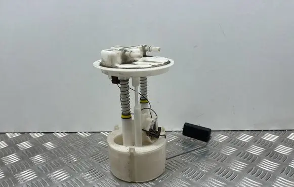Nissan Juke I F15 In-tank fuel pump 170409U21B