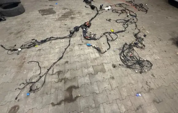BMW X2 F39 Wiring harness 4102