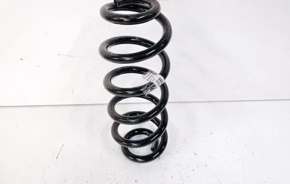 Rear coil spring