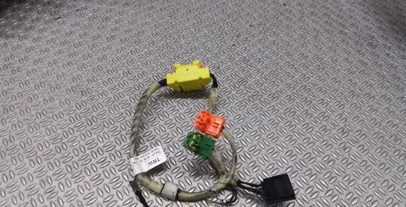 Audi A6 S6 C6 4F Other wiring loom 4F0971589