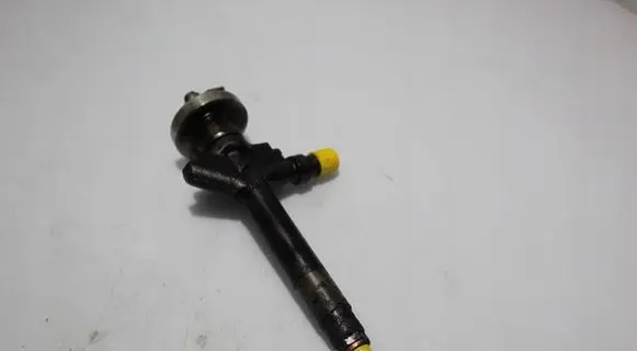 Mazda 6 Fuel injector 501049